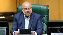 پایان صیانت در مجلس در انتظار تصمیم شورای سیاستگذار