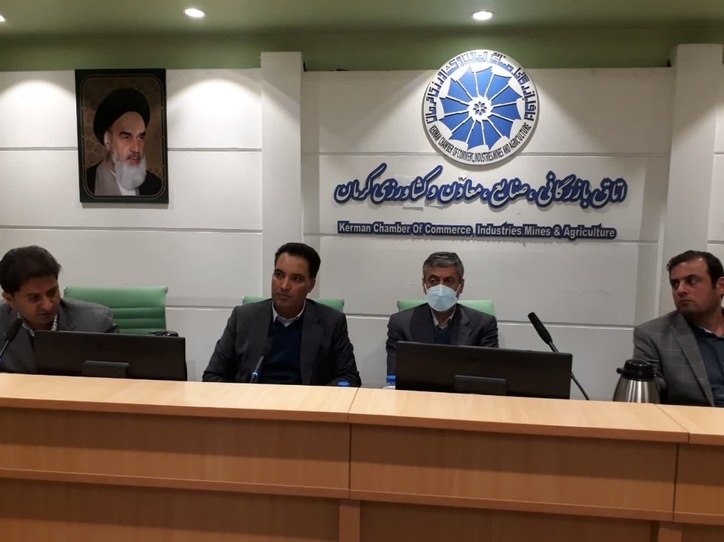 معادن جنوب کرمان با رفع مشکلات موجود، می‌توانند باعث شکوفایی منطقه شوند
