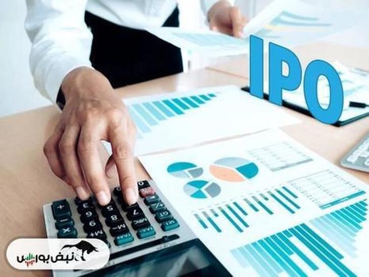 در عرضه اولیه فروژ به هر صندوق و هر کد معاملاتی چند سهم رسید؟