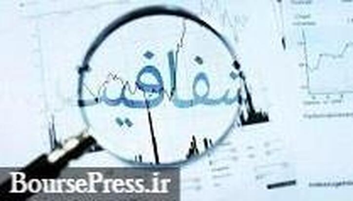 شفاف سازی هلدینگ لوازم خانگی و آماده عرضه اولیه درباره وجوه واگذاری سهام