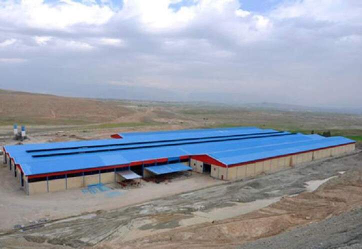 مشکلات کارخانه آجر دهدشت پیگیری شد/ خط دوم واحد تولیدی آجر دهدشت راه‌اندازی می‌شود / ساخت پتروشیمی دهدشت بسیار طولانی شده