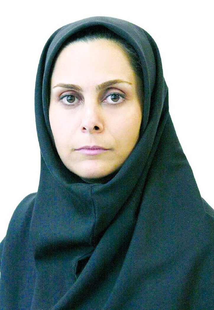 همچنان برای کنترل نرخ ارز «برنامه» داریم!