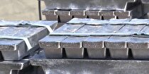 سرب در وضعیت بقا به سر می‌برد