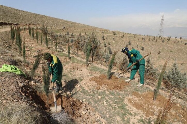 طرح معدن سبز در کاشان اجرا می‌شود