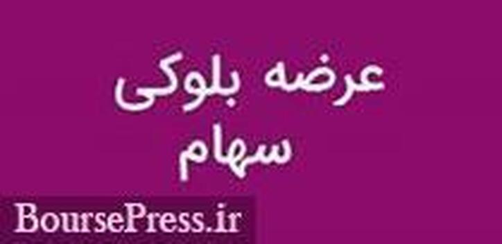 برنامه دولت برای کسب درآمد از سهام 