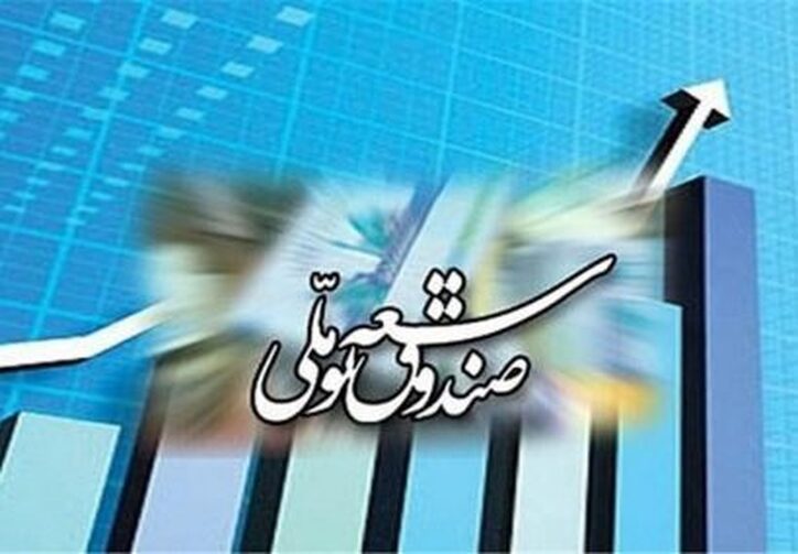 صندوق توسعه ملی نباید خزانه دوم باشد/ تاکید بر استقلال عملکردی صندوق از دولت