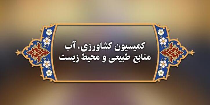 ساداتی نژاد روند ایجاد زیرساخت‌های اجرای طرح حذف ارز ترجیحی را تشریح می‌کند
