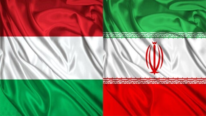 اولین ویدئو کنفرانس B ۲ B تجاری بین ایران و مجارستان به زودی برگزار خواهد شد