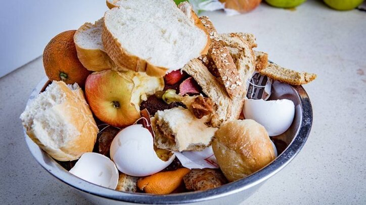 ابداع دانشمندان برای تبدیل پسمانده غذا به سیمان خوراکی