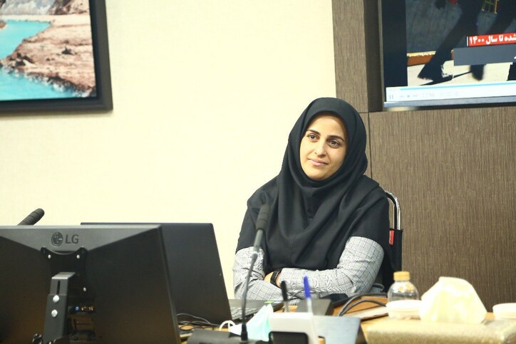 برنامه تشکیل ۵ شرکت سهامی عام پروژه/ لیست عناصر موثر استراتژیک برای توسعه طی ۲ ماه آتی اعلام می‌شود