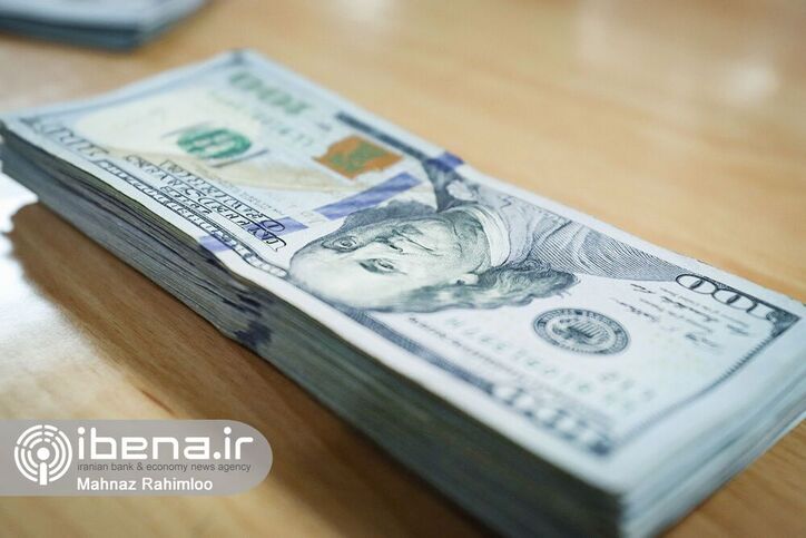 بخشی از یارانه ارز دولتی به جیب تولیدکننده خارجی می‌رفت