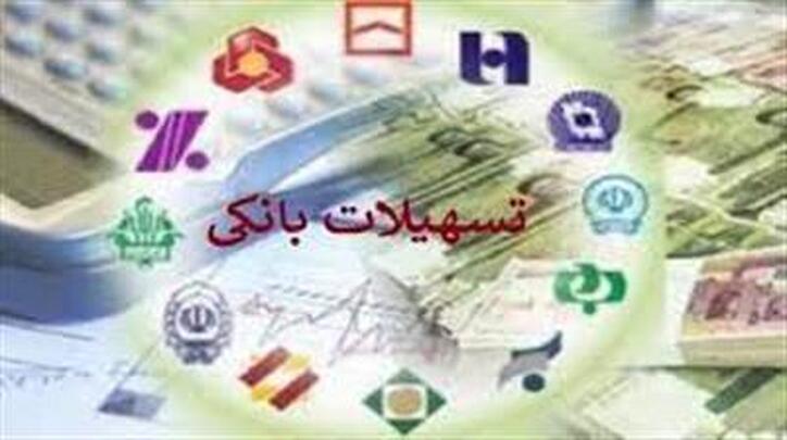 اعطای حدود ۱۶ هزار میلیارد تومان تسهیلات بانکی بدون ضامن