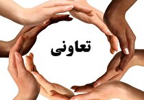 شکست سند توسعه تعاون پس از ۱۰ سال/ ۸۰ درصد اهداف محقق نشد