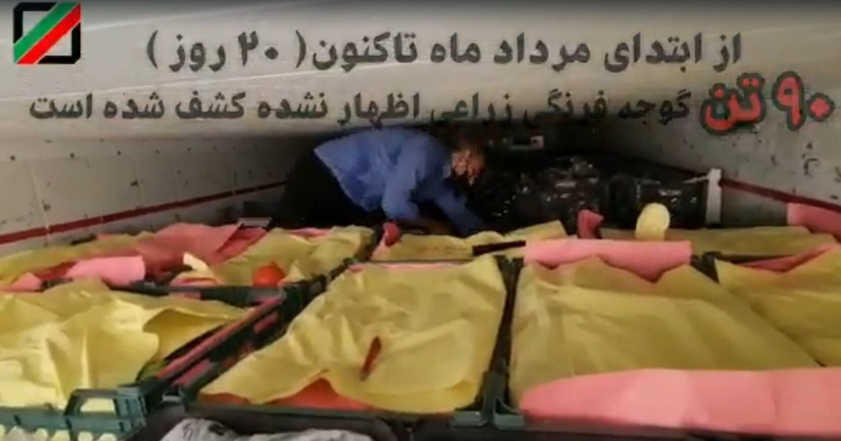 قاچاق محصولات کشاورزی در انتهای کانتینرهای یخچالی/ کشف دهها پالت محصولات زراعی قاچاق توسط گمرک قاچاق محصولات کشاورزی در انتهای کانتینرهای یخچالی/ کشف دهها پالت محصولات زراعی قاچاق توسط گمرک