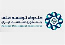 پرداخت ۱۰میلیارد و ۸۰۰میلیون دلار تسهیلات ارزی توسط صندوق توسعه ملی در ۱ سال