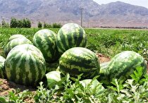 راه ارتباطی تجارت ایران و اروپا بسته شد