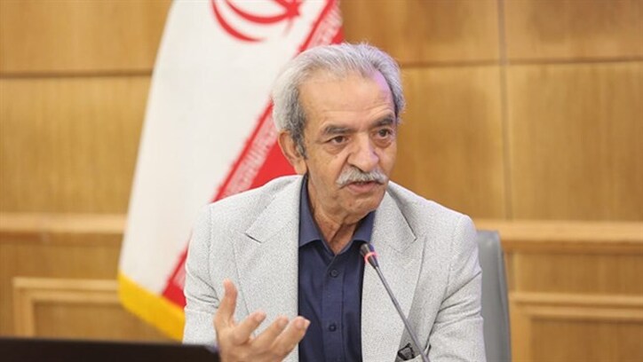 برای تسهیل روند بازگشت ارز، سیاست‌های تشویقی و حمایتی اتخاذ شود