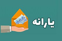 نتیجه بررسی یارانه اعلام شد