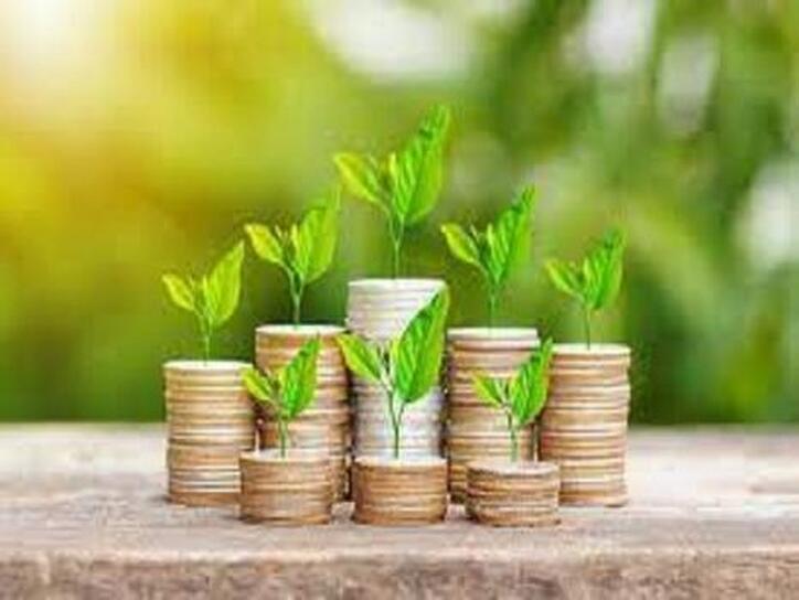 تاییدیه حسابرس به افزایش سرمایه فگستر