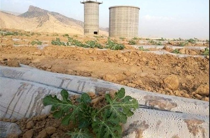 درخواست برای بازگشایی کارخانه «سیمان سفید سپو» بعد از ۱۵سال انتظار