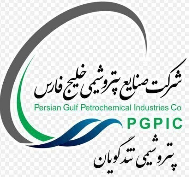 بررسی عملکرد مالی شگویا در یک تحلیل