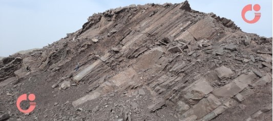 کشف ردپای پرندگان در رسوبات مربوط به ۳۳ تا ۲۷ میلیون سال پیش ناحیه قم