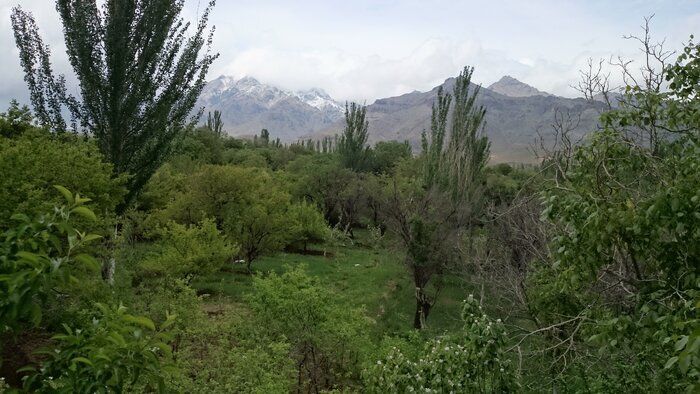 کوهستان کرکس در سراشیبِ نابودی کوهستان کرکس در سراشیبِ نابودی