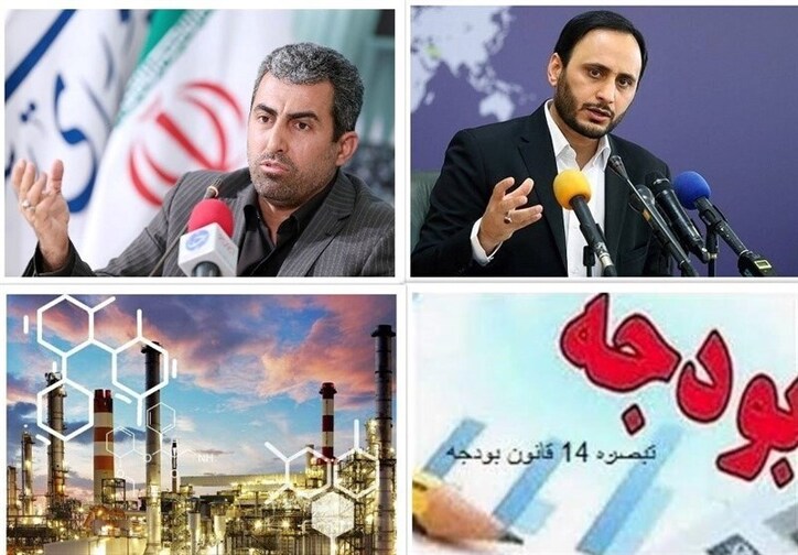 واکنش سخنگوی دولت به اظهارات پورابراهیمی/ خبری از ابطال نرخ ۷ هزار تومانی خوراک نیست