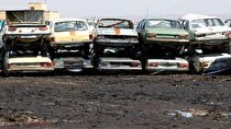 حمایت مجلس از ورود خودرو‌های برقی