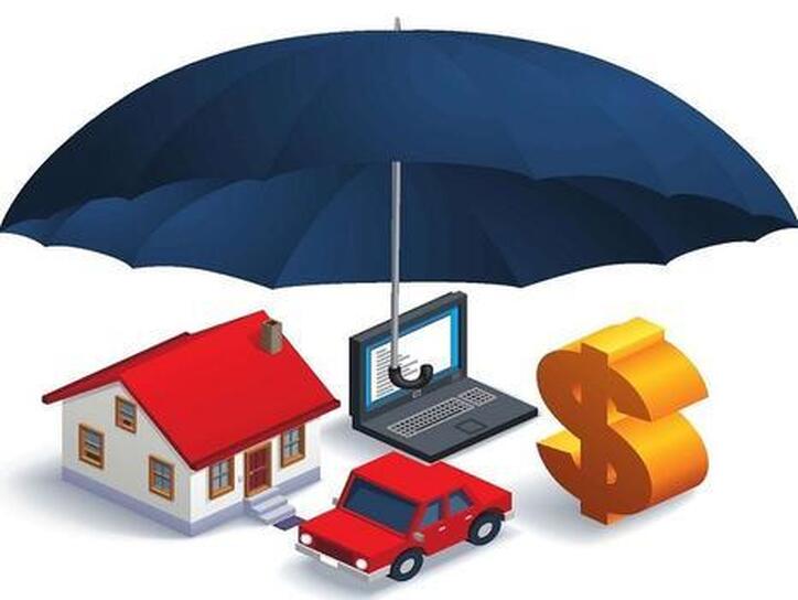 وبیمه افشای اطلاعات زد