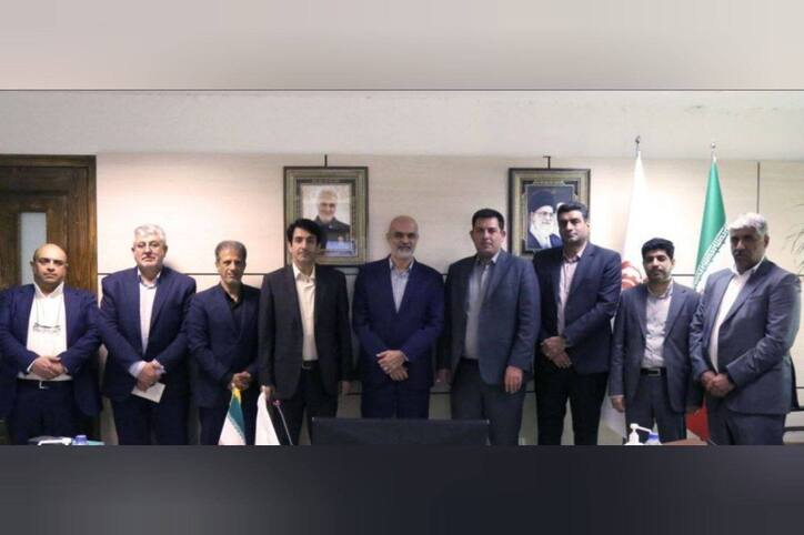 علیخانی مدیرعامل موسسه صندوق بازنشستگی شرکت ملی مس شد