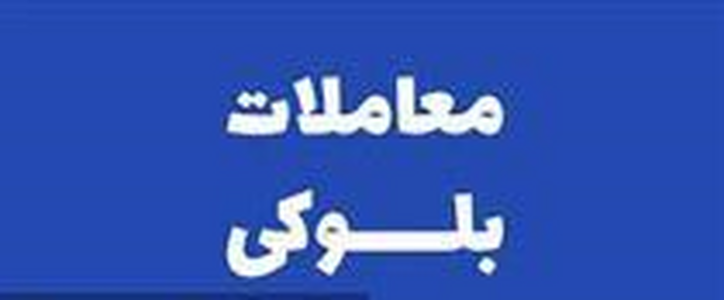 سهامدار حقیقی درصدد عرضه بلوک ۶.۲ درصدی لیزینگ فرابورسی برآمد