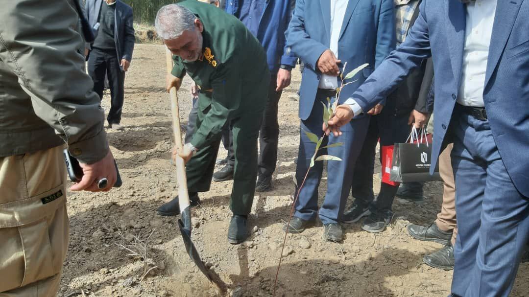 پویش سراسری نهال کاری به نام پویش سراسری نهال کاری به نام