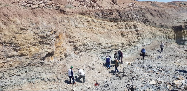 شناسایی تیپهای کانساری با هدف ارتقای مهارت و اثربخشی کارشناسان علوم زمین شناسایی تیپهای کانساری با هدف ارتقای مهارت و اثربخشی کارشناسان علوم زمین