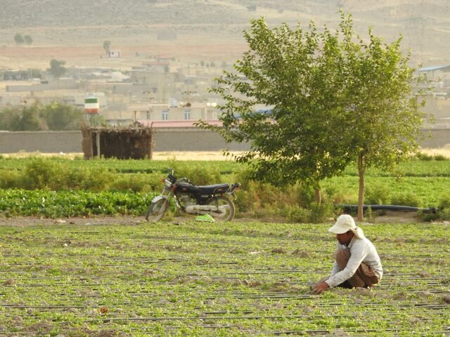 از معادن موجود در روستا‌ها خدمات و عوارضی عاید روستاییان نمی‌شود