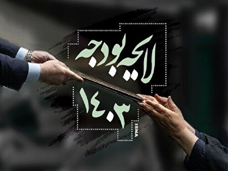 نمایندگان مجلس شورای اسلامی جداول بودجه سال ۱۴۰۳ را اصلاح کردند