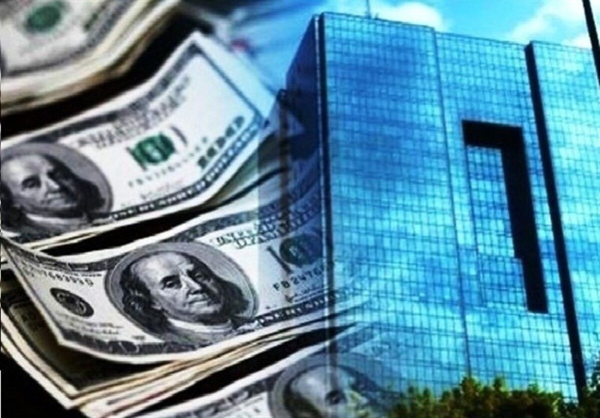 ریز ارز پرداختی کالا‌های اساسی و تجاری/ چقدر ارز پرداخت شد؟