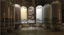کشف بزرگ‌ترین ذخایر فلزات کمیاب در اروپا