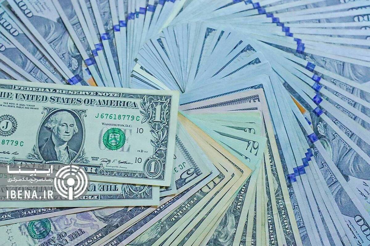 افق فراگیری برای جهش نرخ ارز وجود ندارد/ بانک مرکزی جهش‌های ارزی را متوقف کرده است