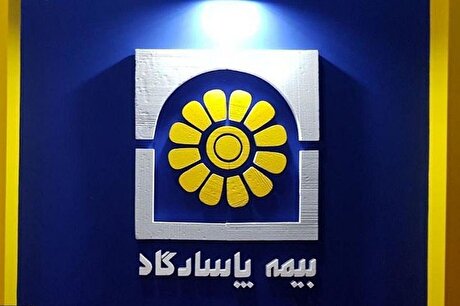 سود خالص 