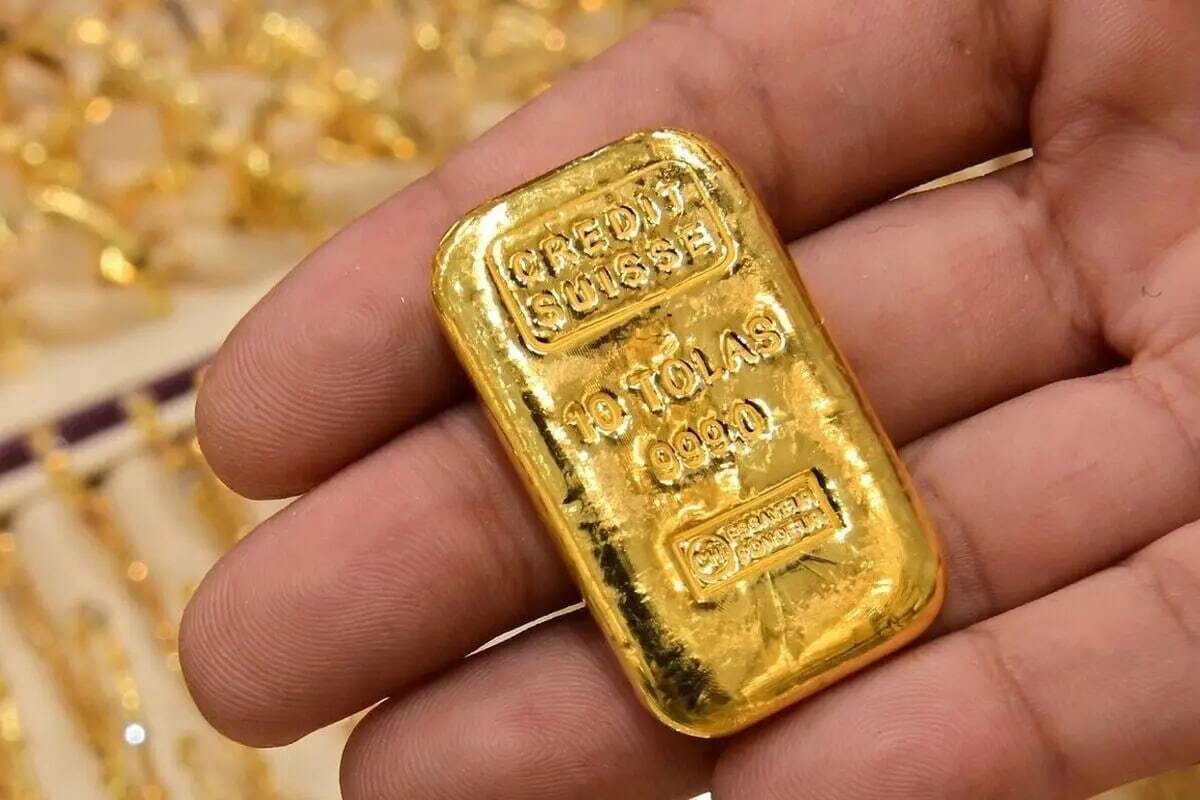 قیمت نیم‌سکه امروز ۱۴ آذر ۱۴۰۳/ نکات امنیتی خرید سکه