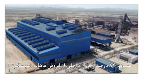 سهم ۸۴ درصدی بازار داخلی از فروش ماهانه 