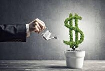 چشم‌انداز سرمایه‌گذاری مستقیم خارجی (FDI)