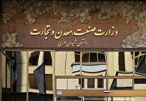 مدیرکل دفتر صنایع خودرو وزارت صمت منصوب شد