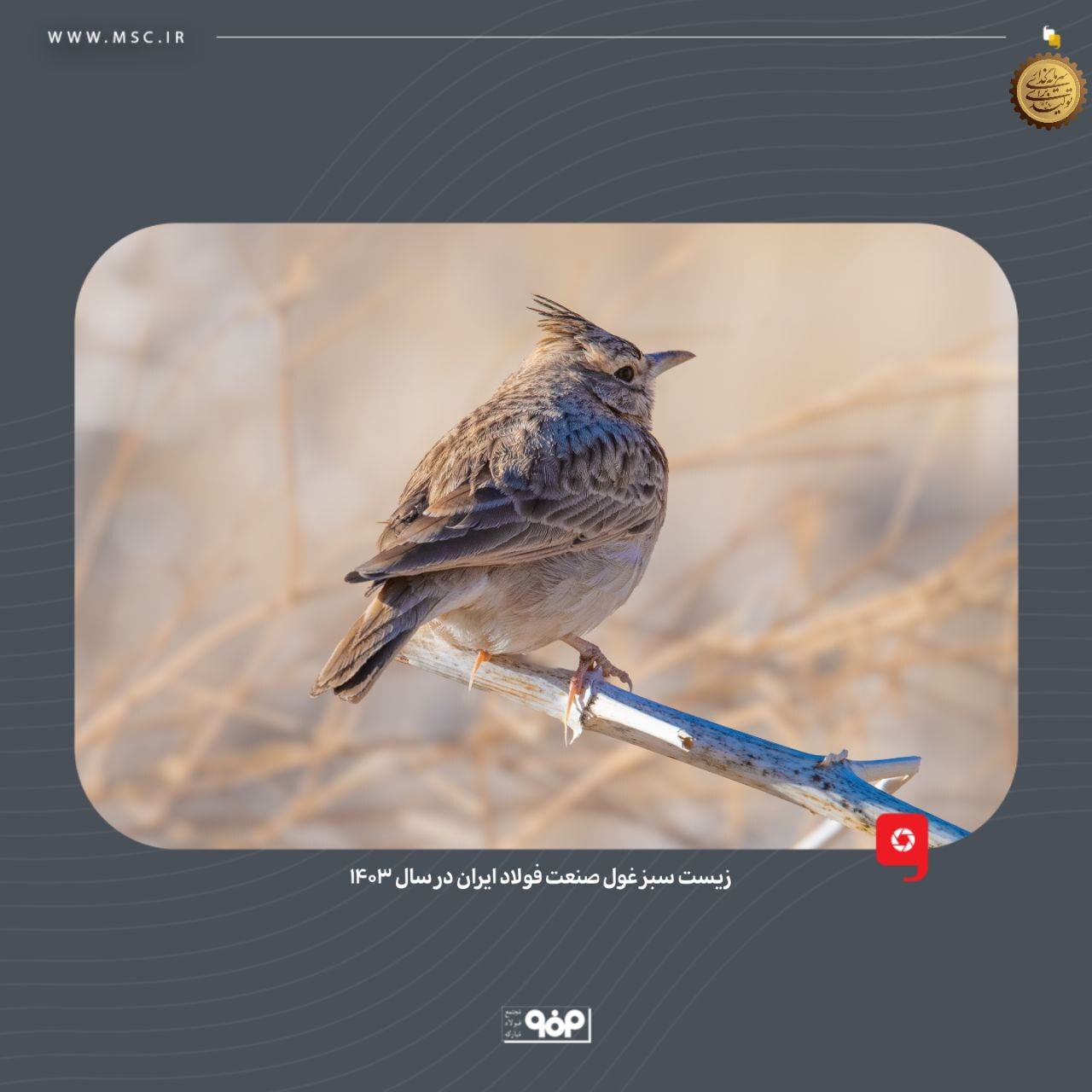 زیست سبز غول صنعت فولاد ایران در ۱۴۰۳ زیست سبز غول صنعت فولاد ایران در ۱۴۰۳
