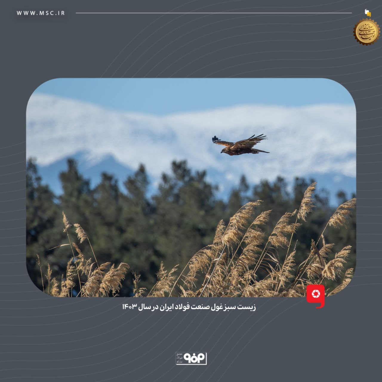 زیست سبز غول صنعت فولاد ایران در ۱۴۰۳ زیست سبز غول صنعت فولاد ایران در ۱۴۰۳