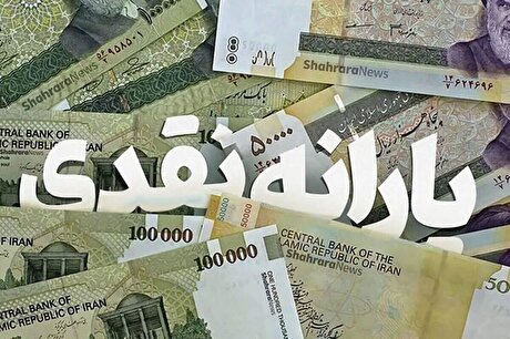 سامانه اطلاعات خانوار در وزارت رفاه دارای ایرادات جدی است/ حذف یارانه باید با معیار‌های کارشناسی انجام شود