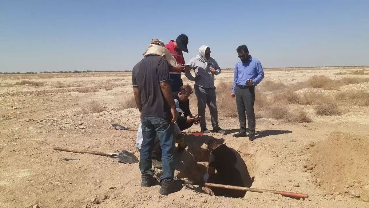 انشعاب‌های غیرمجاز نفت در نفت‌خیز جنوب جمع‌آوری شد