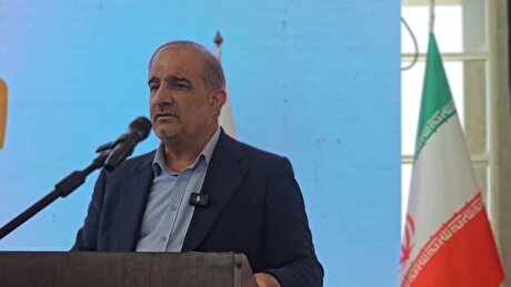 توسعه زیرساخت‌های برق و مدیریت منابع آب؛ پیش‌شرط شکوفایی صنعت پسته ایران