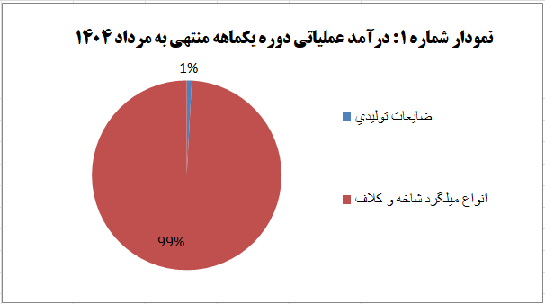 افزایش ۵۱ درصدی تولید، نویدبخش آیندهای روشن افزایش ۵۱ درصدی تولید، نویدبخش آیندهای روشن